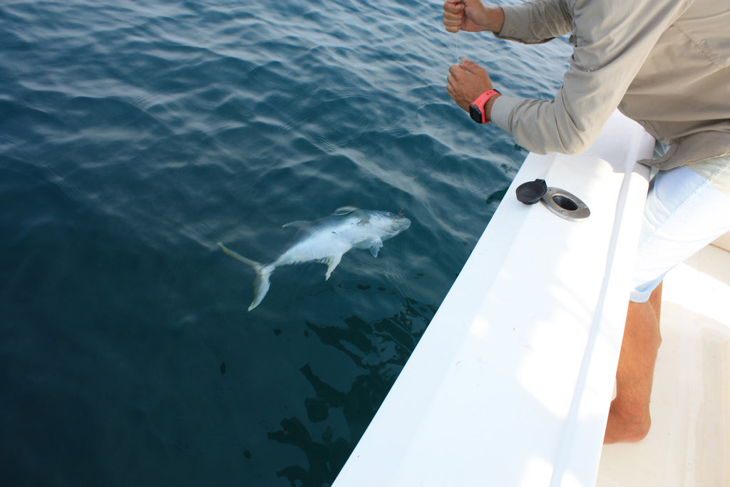 Big Game Offshore Deep Sea Fishing Trip