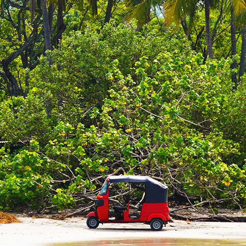 Jungle Buggy Golf Cart Rentals - 4 Person Cart