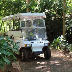 Jungle Buggy Golf Cart Rental - 6 Person Cart