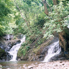 Nosara Waterfall Tour